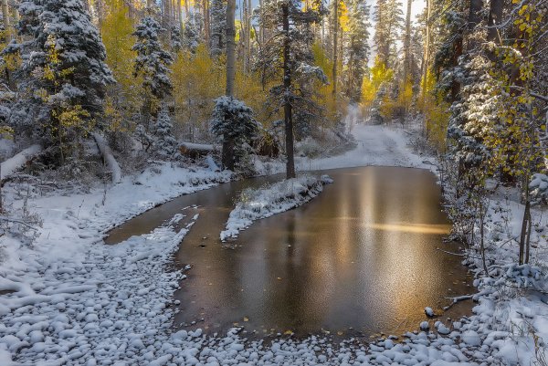 Первый снег природа
