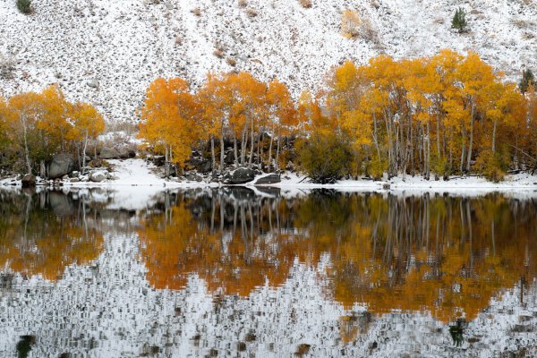 Осень снег
