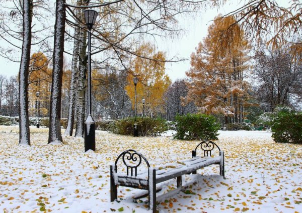 Поздняя осень в парке