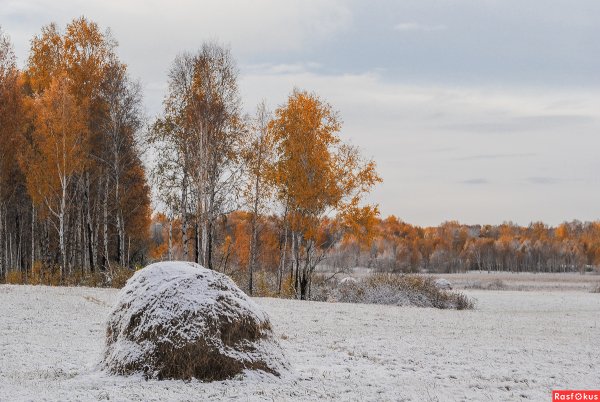 Пейзаж первый снег