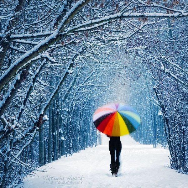 Радужная зима