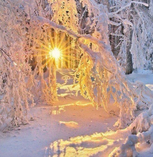 Морозное солнечное утро