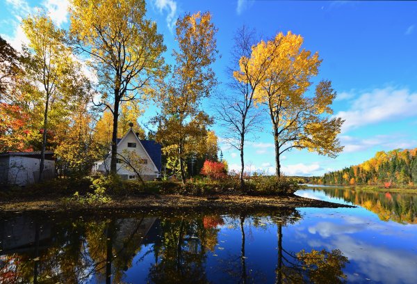 Пейзаж осени