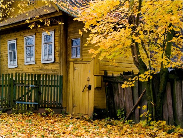 Деревенский дом осенью