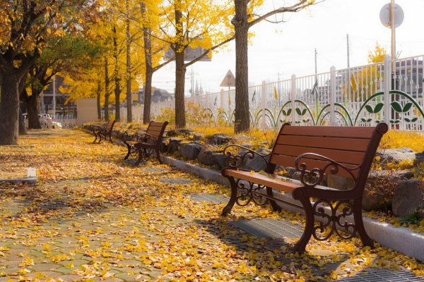 Осенний парк аллея скамейки