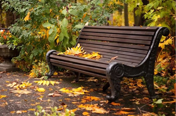 Старинная лавочка