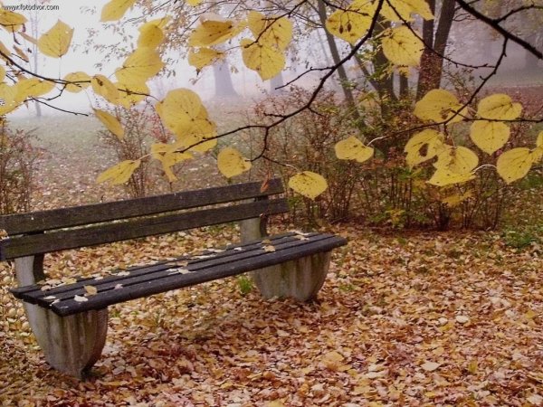 Осень лавочка