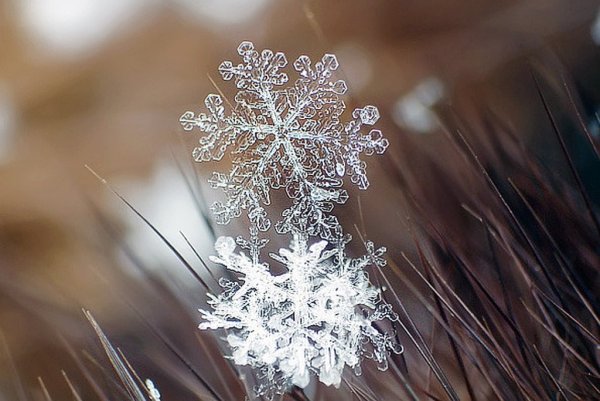 Зима снежинки