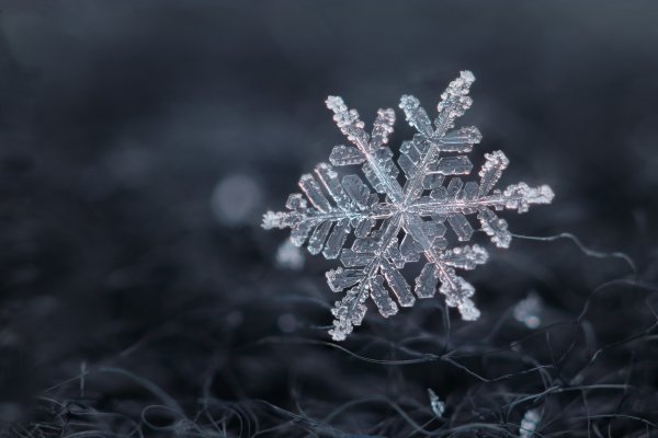 Снежинки в природе