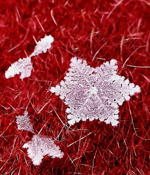 Снег снежинки