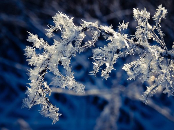 Кристаллическая изморозь