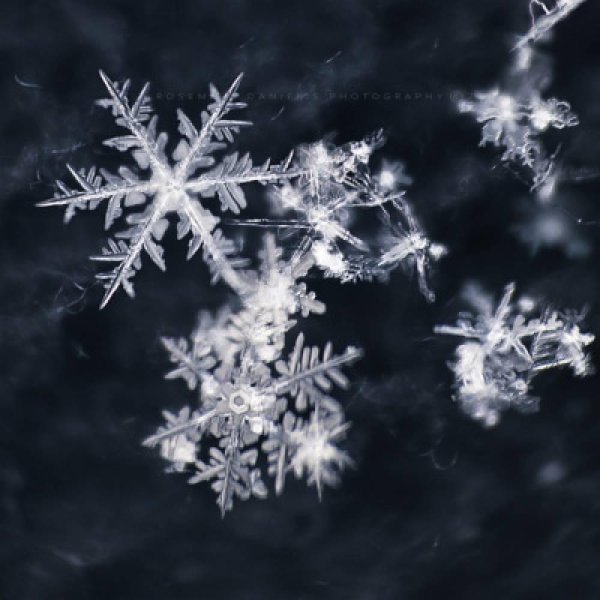 Снежинки Эстетика