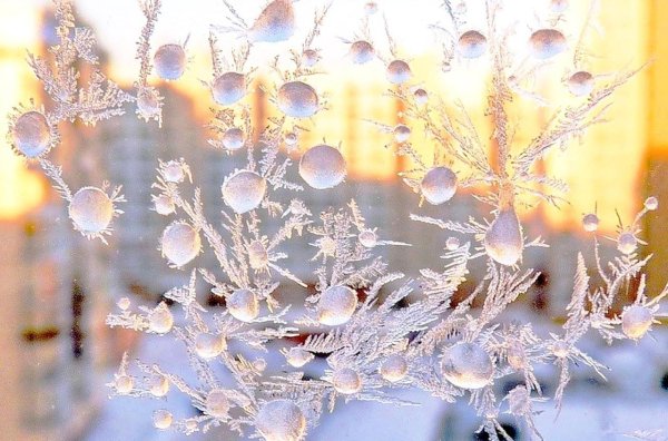 Снежные цветы на морозном окне