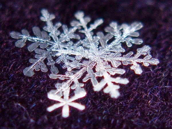 Первые снежинки