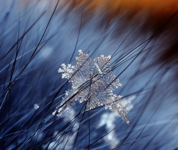 Кружение снежинок