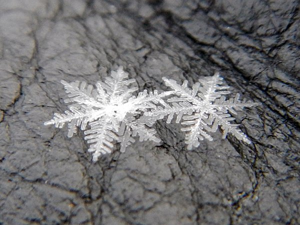 Эстетичные снежинки