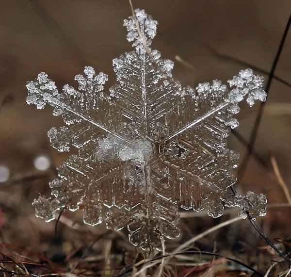 Снежинка макро