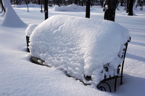 Сугроб на лавочке