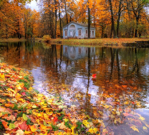 Царское село Пушкин Золотая осень лицей