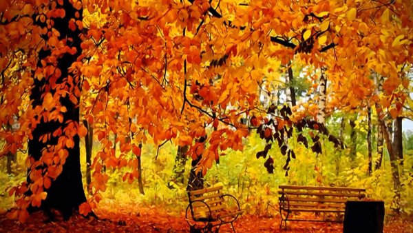 Осенняя сюита