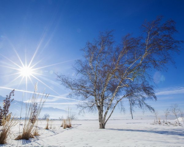 Солнечный зимний день