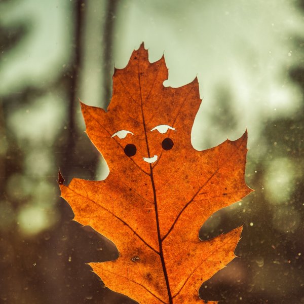 Классные осенние обои