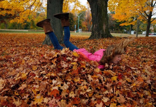 Осенняя фотосессия прикол