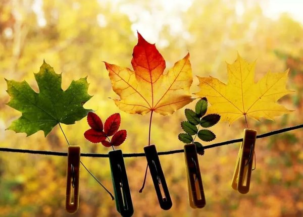 Позитивная осень