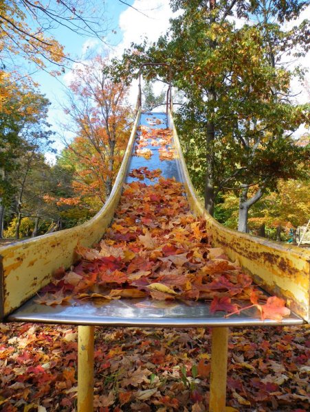 Самая необычная осень