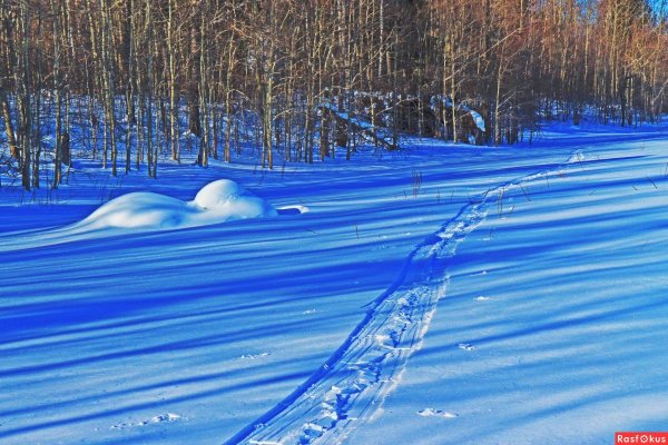 Голубоватый снег