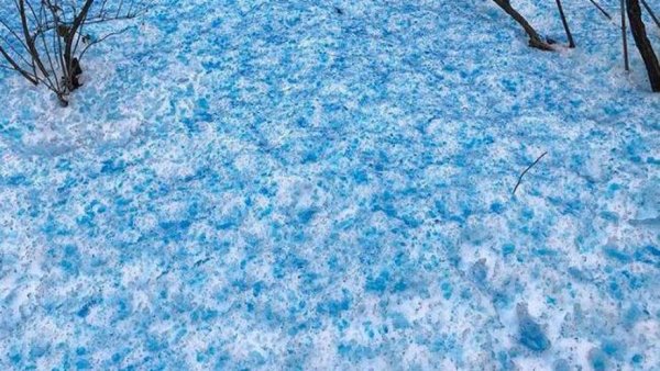 Голубоватый снег