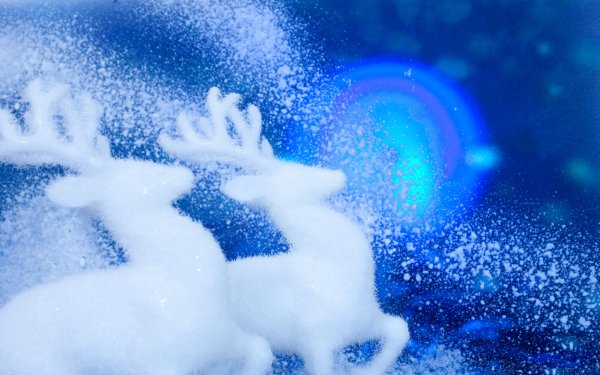 Зимнее волшебство