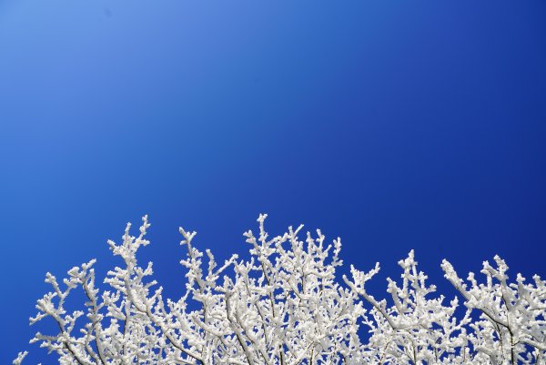 Синее небо снег