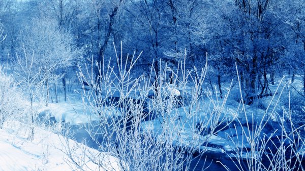 Зимний пейзаж в голубых тонах