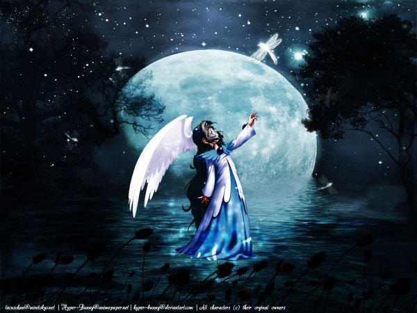 Ночь ангел Луна