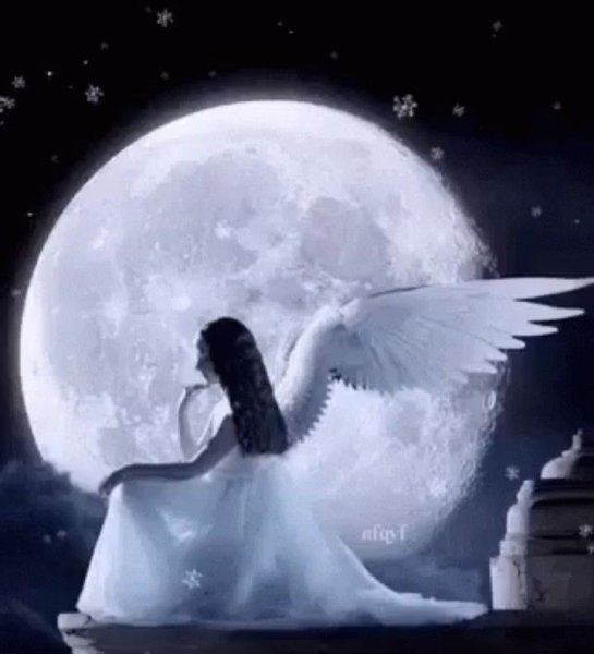 Красивый ангел в ночи