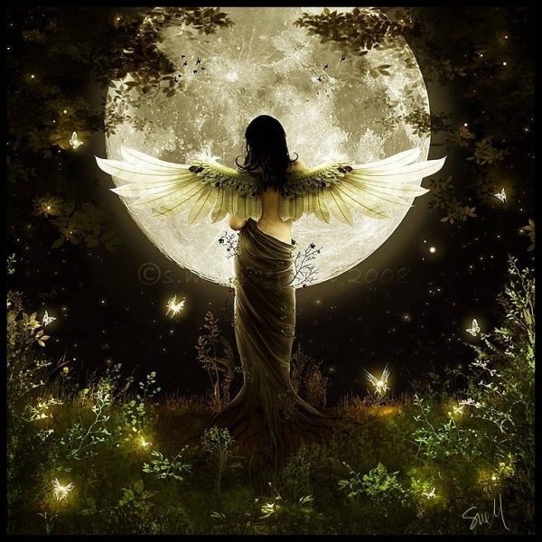 Ангела на ночь