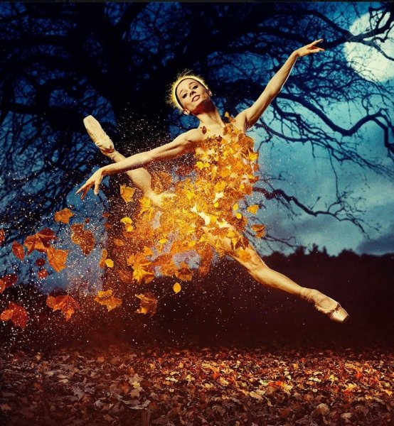 Прокофьев вариации феи осени