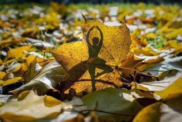 Балерина в осенних листьях