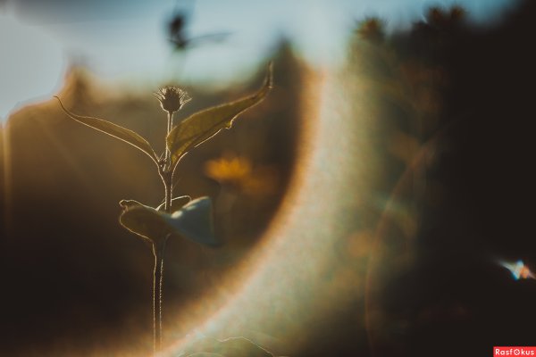 Балерина осень