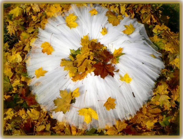 Осенняя балерина