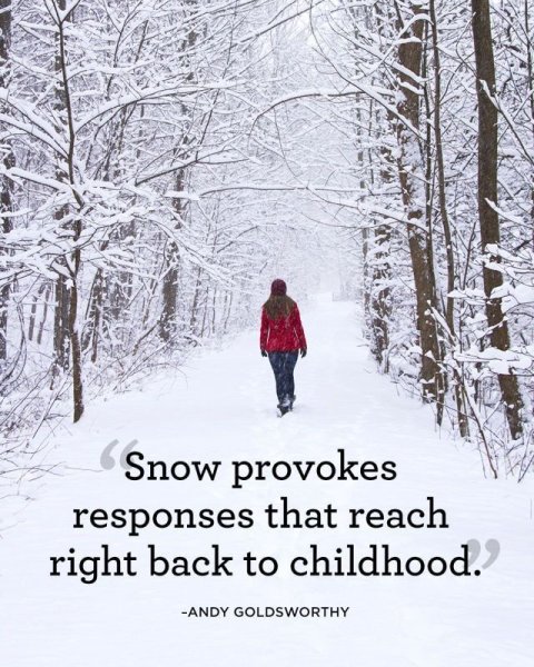 Зимние цитаты