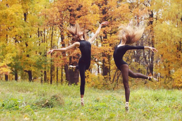 Танцы в лесу