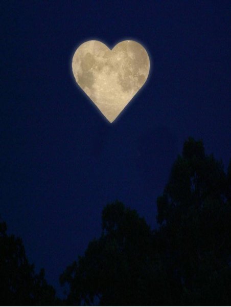 Сердечки ночью