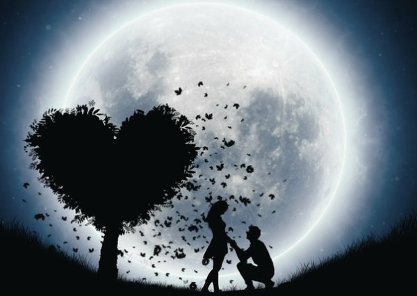 Сердце ночь звезды