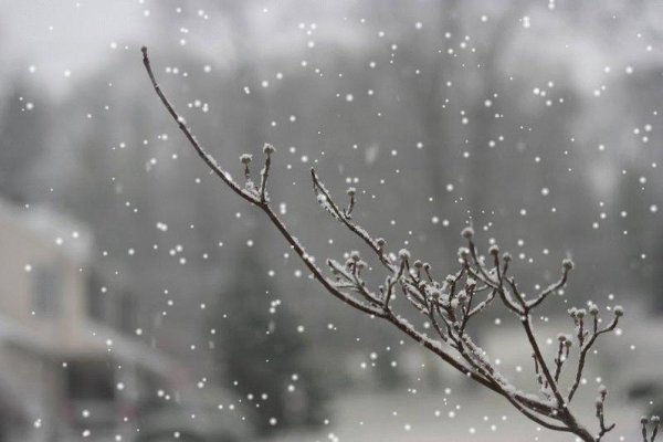 Хлопья снега