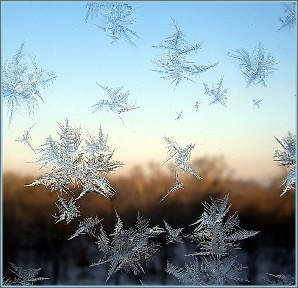 Снежинки в небе