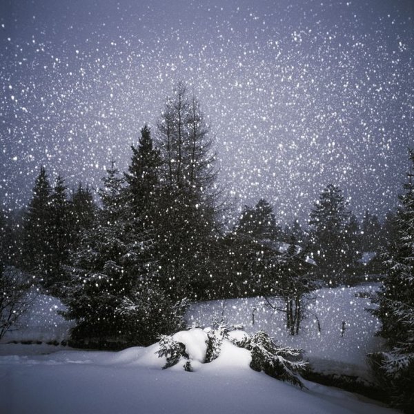 Снегопад фото красивые