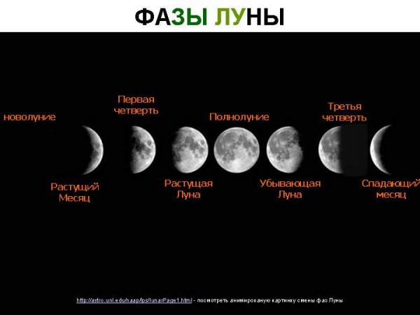Фазы Луны новолуние первая четверть полнолуние последняя четверть