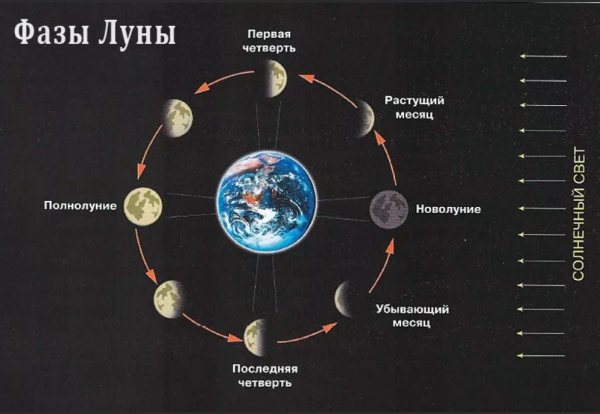 Фазы Луны схема